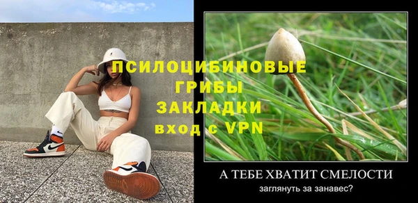 мдпв Богородск