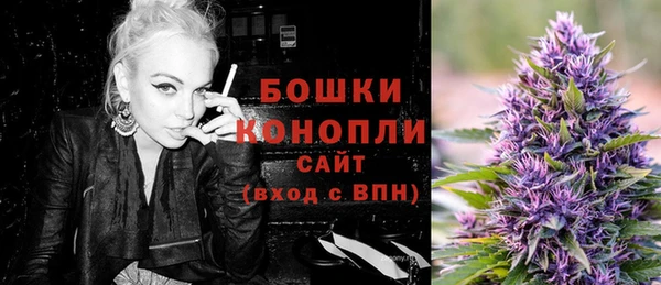 мдпв Богородск