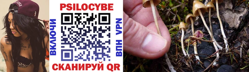 что такое наркотик  omg зеркало  это формула  Духовщина  Галлюциногенные грибы Cubensis 